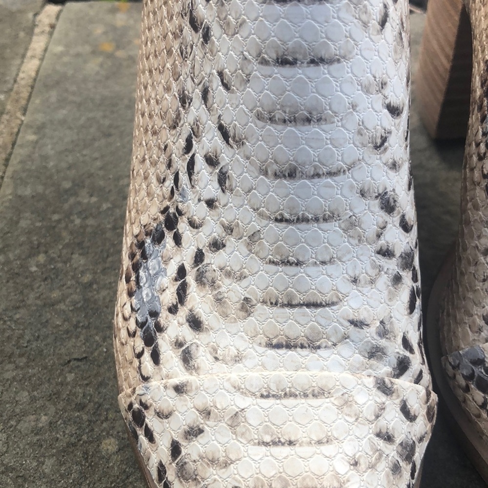 DV by Dolce Vita Snake Print Mules with Block Heel. Excellent condition. Size 6 - Picture 3 of 11